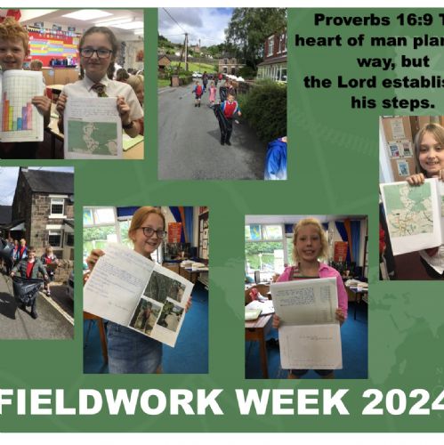Fieldworkweekonapage20242)